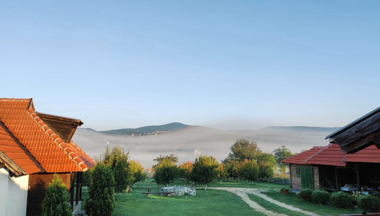Apartamento Camp Viljamovka Kremna Exterior foto